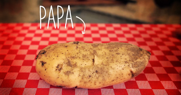 Video PAPA Beneficios de los Agroquimicos