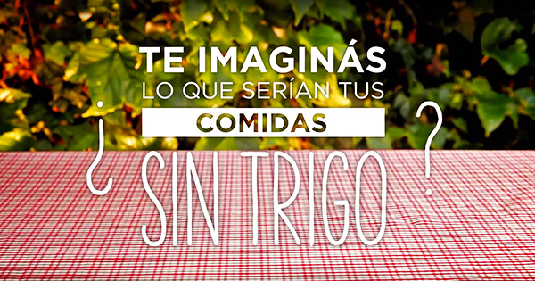 te imaginas tus comidas sin trigo
