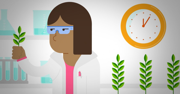 como se desarrolla un producto para la protección de los cultivos