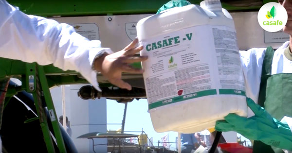 pict-casafe-en-expoagro