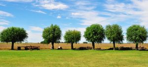 campo agricultura sustentable