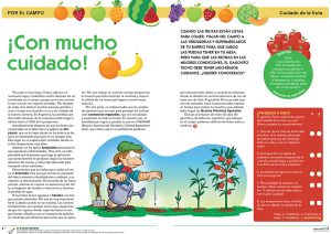 producción agropecuaria para chicos
