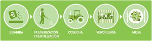 del-campo-a-la-mesa agroquimicos y alimentos