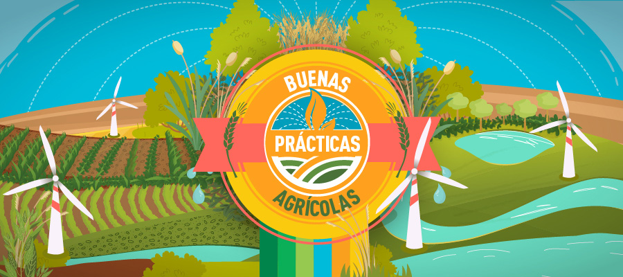 ¿Por qué Buenas Prácticas Agrícolas?