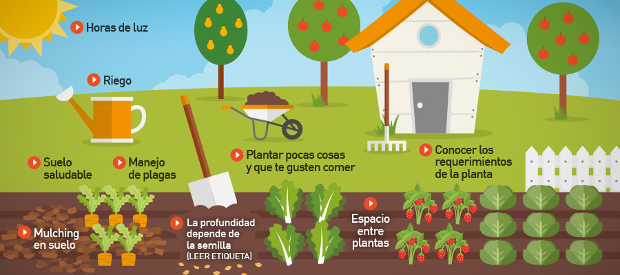 En huertas y jardines, también debemos viralizar las buenas prácticas