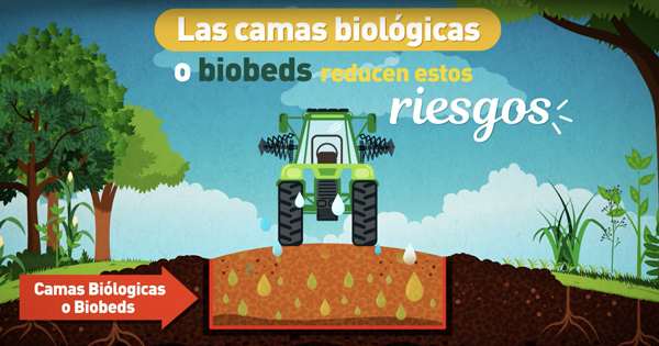 Videos Casafe Camas Biológicas para pulverizadoras