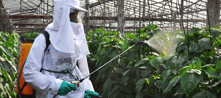 salud y agroquimicos casafe glifosato