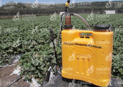 Mochila Pulverizadora en Cultivo de Frutillas