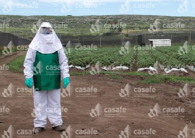 Aplicador con equipo de protección personal en cultivo de frutillas