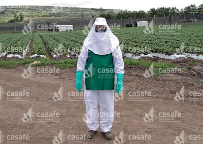 Aplicador con equipo de protección personal en cultivo de frutillas