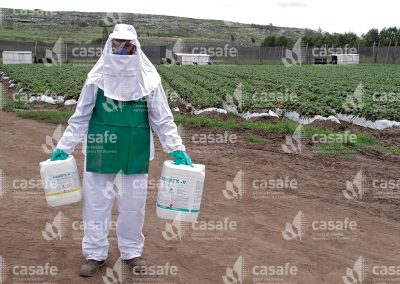 Aplicador con equipo de protección personal en cultivo de frutillas