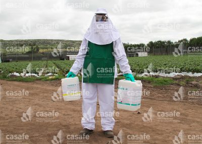 Aplicador con equipo de protección personal en cultivo de frutillas