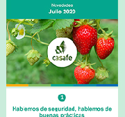 newsletter casafe julio 2020