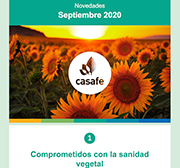 newsletter casafe septiembre 2020