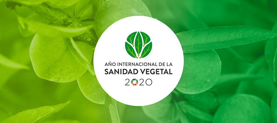 Comprometidos con la sanidad vegetal