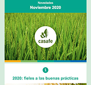 Newsletter Casafe Noviembre 2020