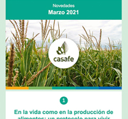 Newsletter Casafe Marzo 2021