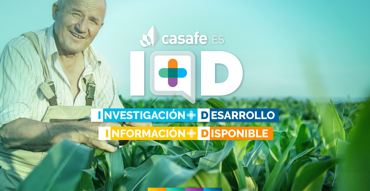 encabezado-informe-casafe-industria-de-fitosanitarios-en-argentina