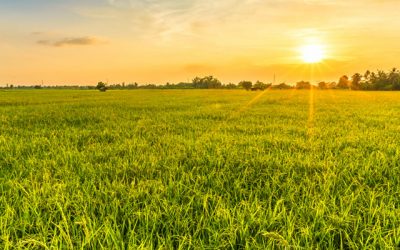 La agricultura responsable preserva la biodiversidad