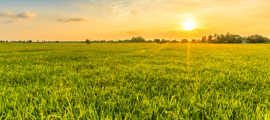 La agricultura responsable preserva la biodiversidad