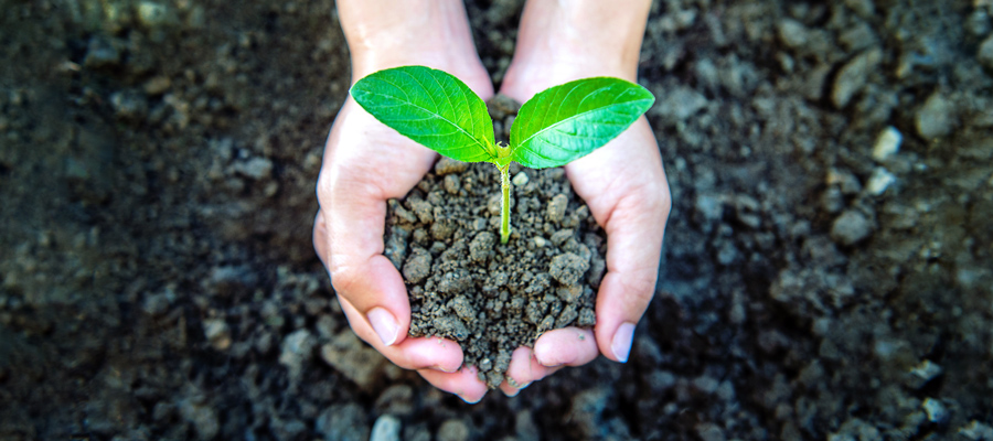 Sustentabilidad: una iniciativa compartida digna de comunicar