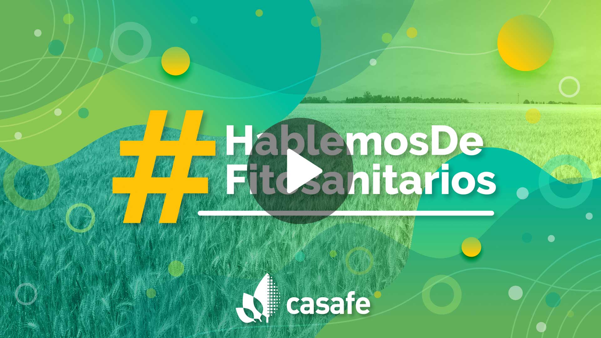 video-casafe-HablemosDeFitosanitarios