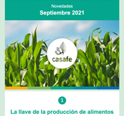 newsletter externo septiembre 2021 Casafe