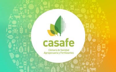 Casafe definió nueva Comisión Directiva