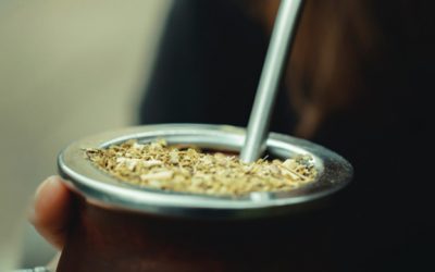 Yerba Mate: un elixir nacional