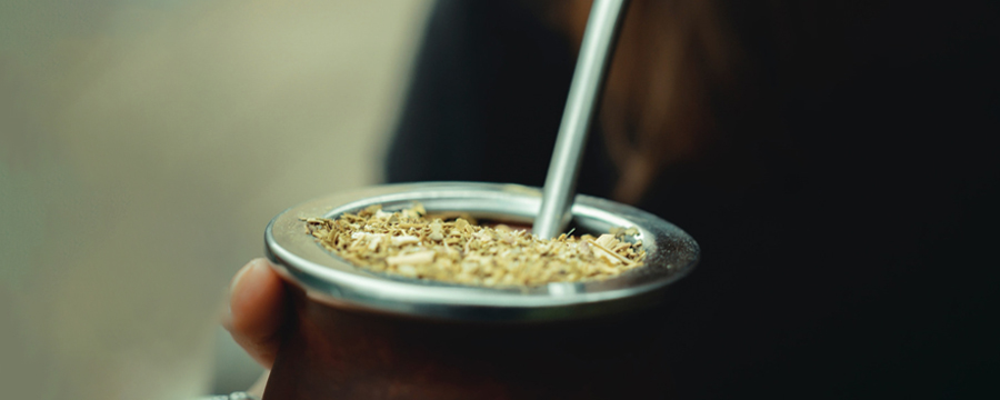 Yerba Mate: un elixir nacional