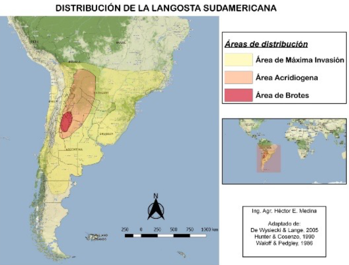 nota-casafe-distribucion-de-la-langosta-sudamericana