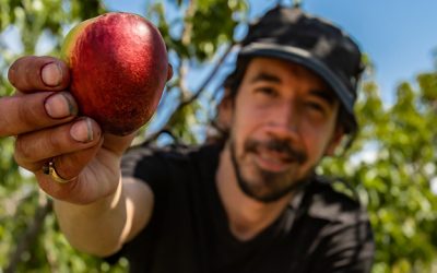 La coexistencia de los sistemas de producción bajo buenas prácticas