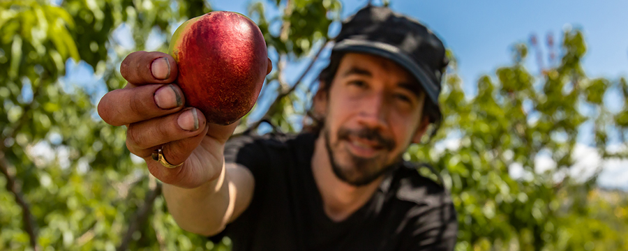 La coexistencia de los sistemas de producción bajo buenas prácticas