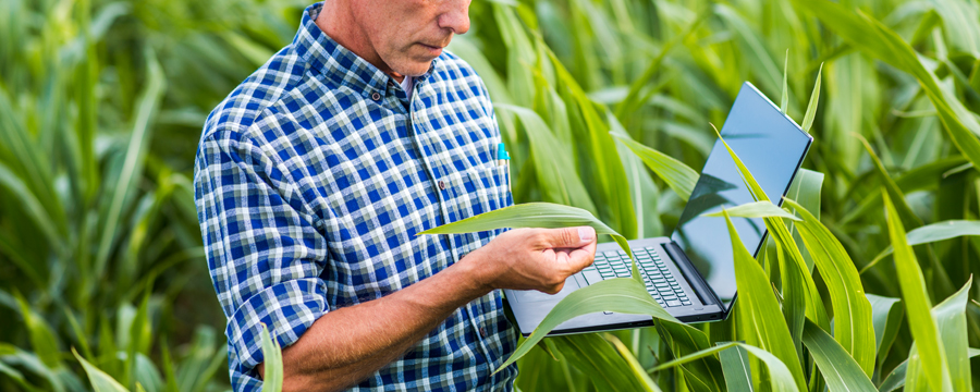 agroquimicos-mitos-y-verdades-05