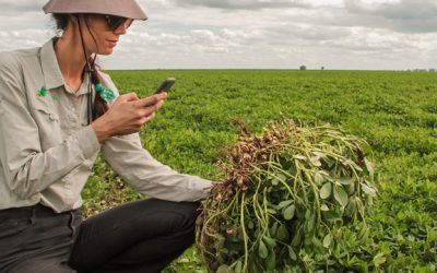 Las comunidades rurales custodian la biodiversidad de los paisajes agrícolas