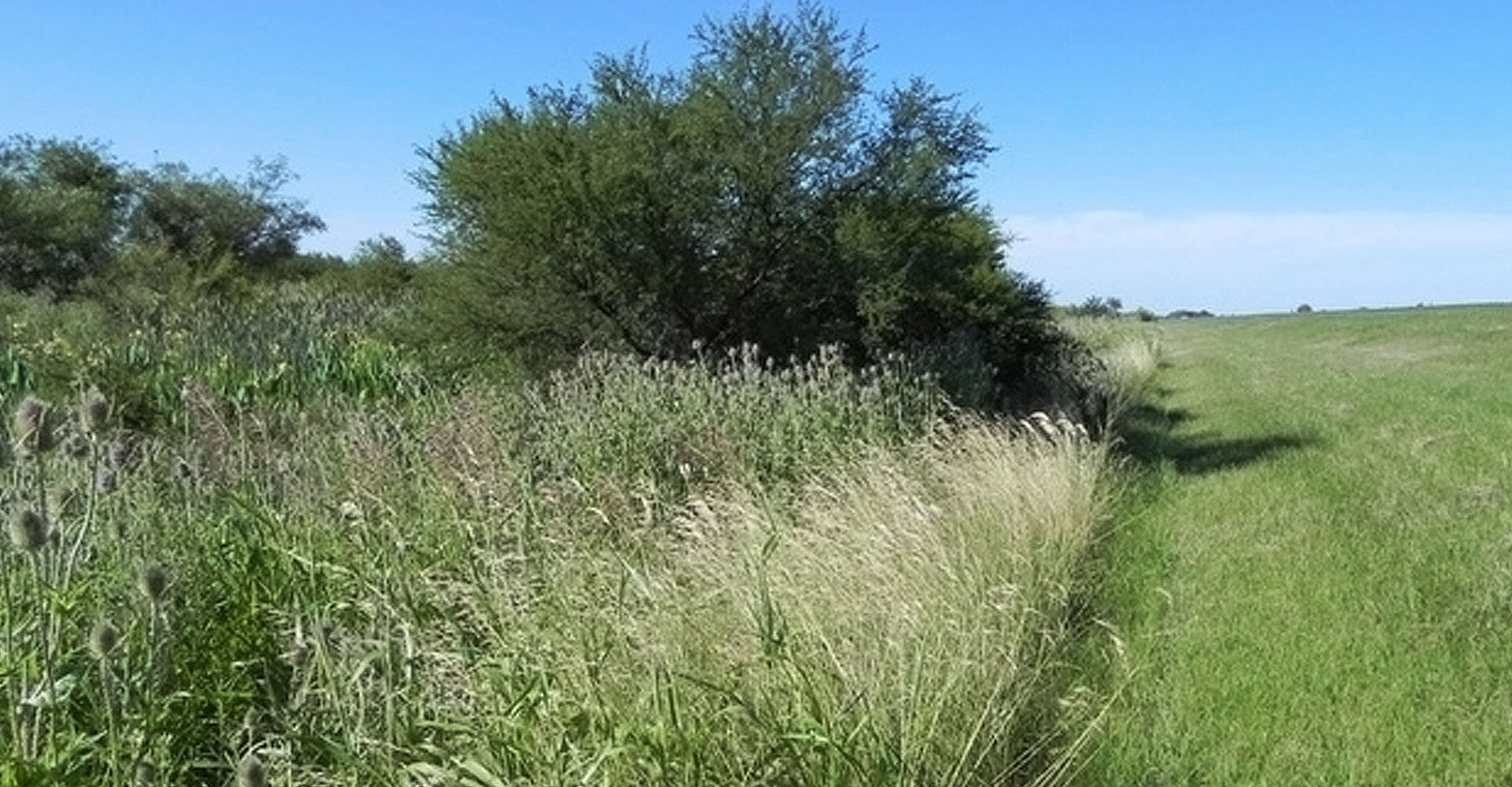 img-casafe-agricultura-sustentable-03