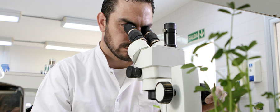 img-nota-casafe-Los-desarrollos-cientificos-en-el-agro-velan-por-un-futuro-mas-sostenible