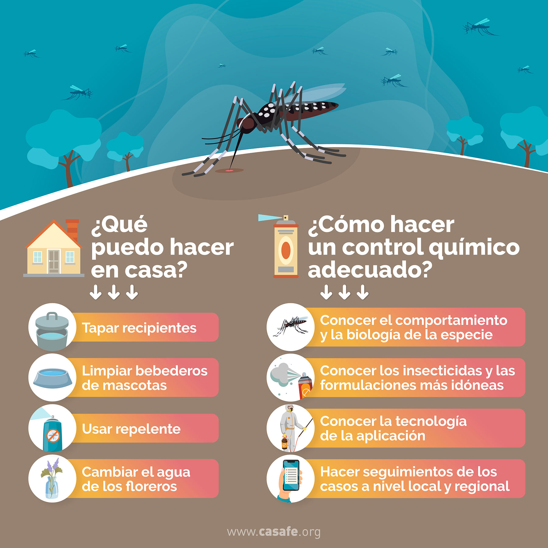 infografia mosquito dengue que puedo hacer en casa